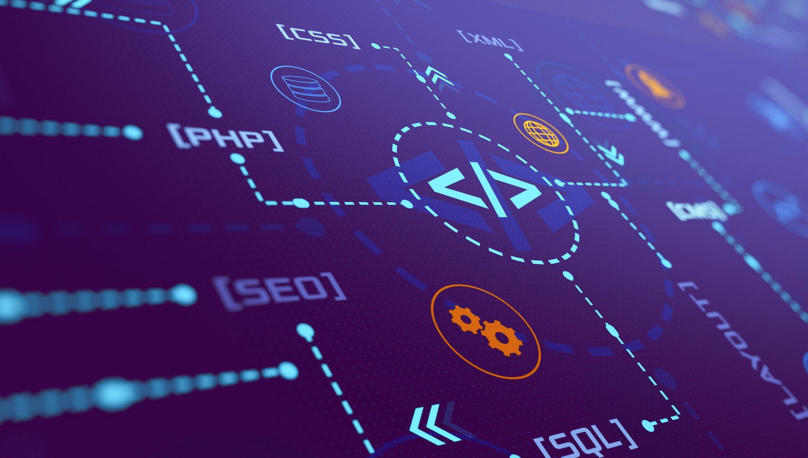 Graphic illustraing the skills offered